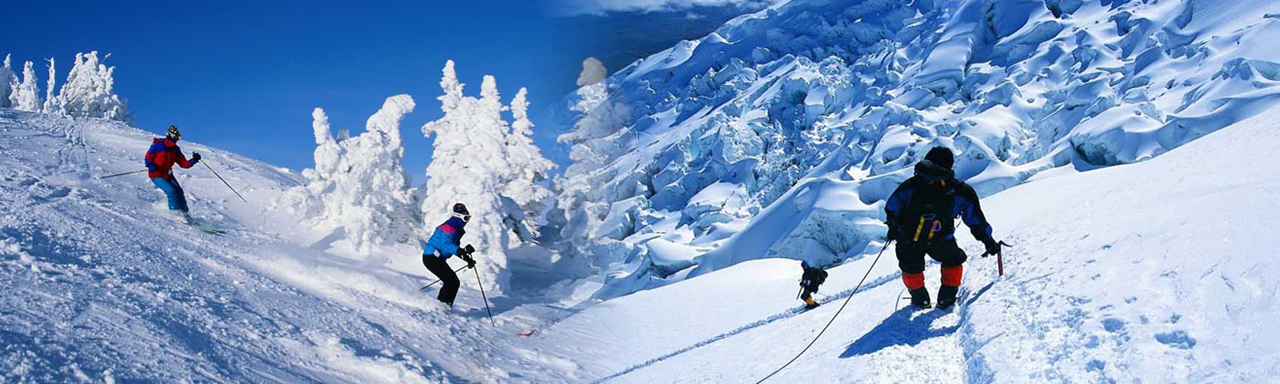 delhi manali tour packages